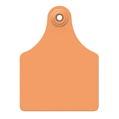 Allflex, Allflex Global Maxi Blank Tags Orange 25's, 1 Count