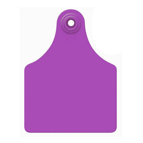 Allflex, Allflex Global Maxi Blank Tags Purple 25's, 1 Count