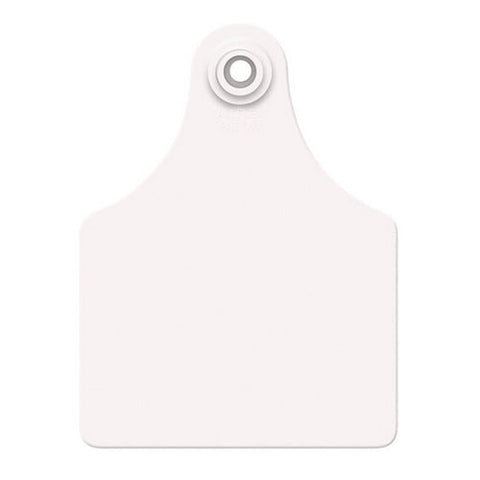 Allflex, Allflex Global Maxi Blank Tags White 25's, 1 Count