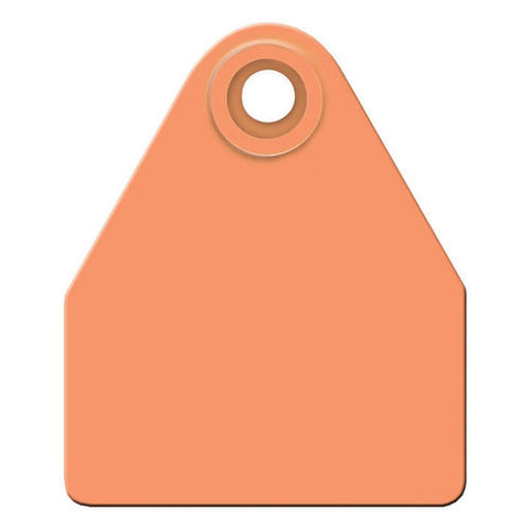 Agritags, AgriLabs Medium Blank AgriTags Orange 25's, 1 Count