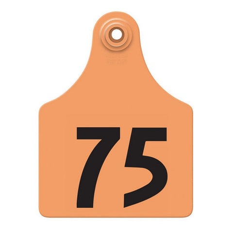 Allflex, Allflex Global Maxi Numbered Tags 51-75 Orange, 1 Count