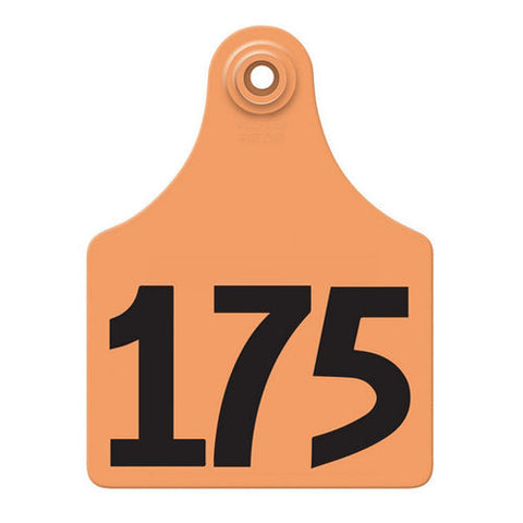 Allflex, Allflex Global Maxi Numbered Tags 151-175 Orange, 1 Count