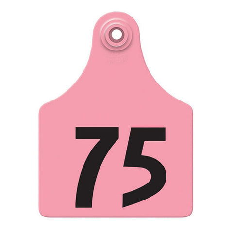 Allflex, Allflex Global Maxi Numbered Tags 51-75 Pink, 1 Count
