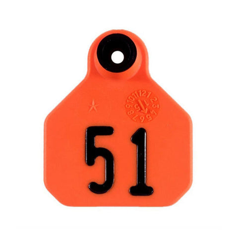 Y-Tex, Y-Tex 1-Star Mini Numbered All American Ear Tags 51-75 Orange, 1 Count