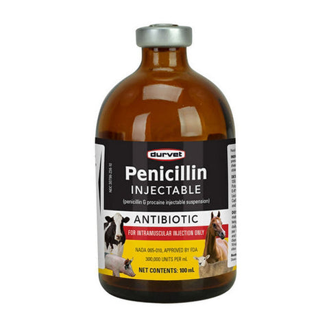 Durvet, Penicillin G/Norocillin Injectable, 100 Ml