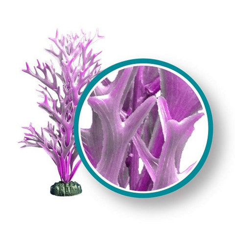 Weco, Weco Products Marine Pro Series Giant Kelp Aquarium Plant, Purple, 1 Each/6 in, Giant
