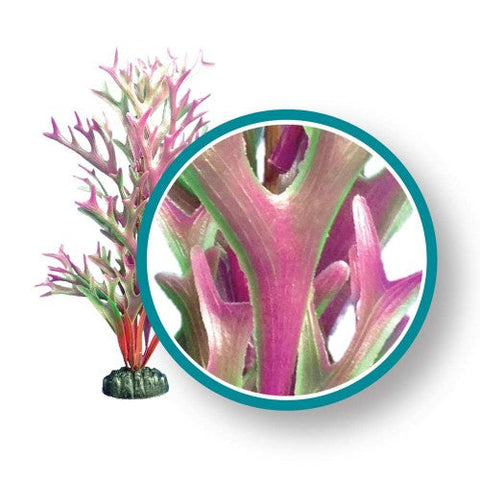 Weco, Weco Products Marine Pro Series Giant Kelp Aquarium Plant, Red, 1 Each/9 in, Giant