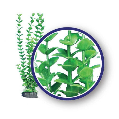 Weco, Weco Products Freshwater Series Bacopa Aquarium Plant, Green, 1 Each/12 in