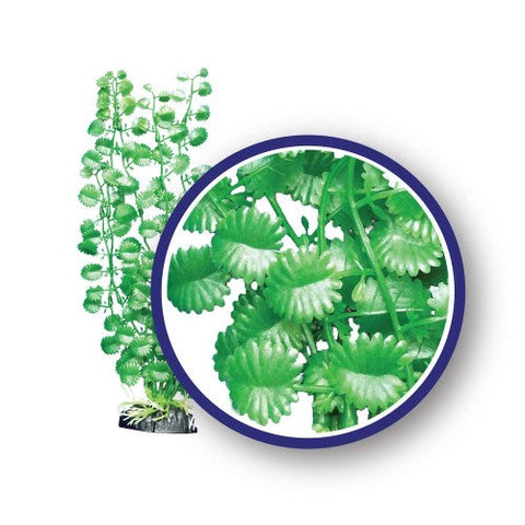Weco, Weco Products Freshwater Series Japanese Cress Aquarium Plant, Green, 1 Each/12 in