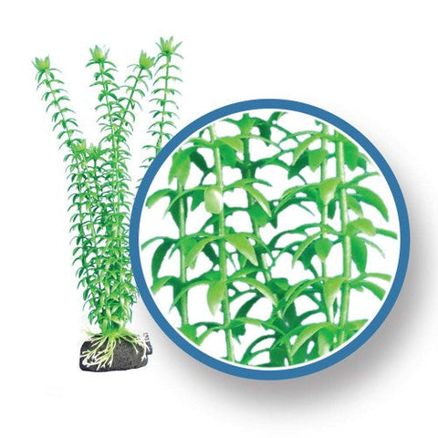 Weco, Weco Products Freshwater Pro Series Tonina Aquarium Plant, Green, 1 Each/12 in