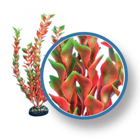 Weco, Weco Products Freshwater Pro Series Ludwigia Aquarium Plant, Red, 1 Each/12 in