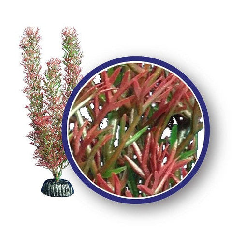 Weco, Weco Products Freshwater Series Foxtail Aquarium Plant, Red, 1 Each/18 in