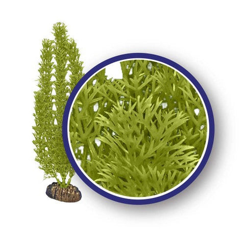 Weco, Weco Products Freshwater Series Foxtail Aquarium Plant, Green, 1 Each/18 in