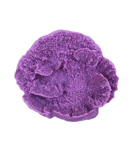Weco, Weco Products South Pacific Coral Capricornis Ornament, Lavender, 1 Each/Small