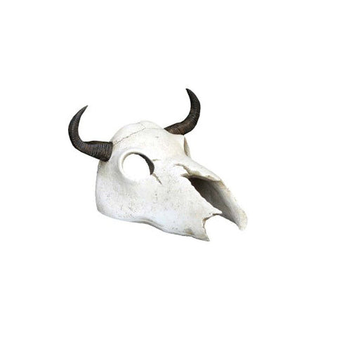 Weco, Weco Products Wecorama Catacombs Longhorn Skull Aquarium Ornament, Black, White, 1 Each