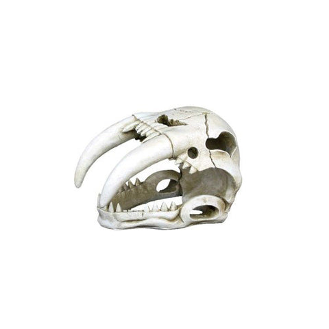 Weco, Weco Products Wecorama Catacombs Sabertooth Skull Aquarium Ornament, White, 1 Each