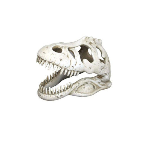Weco, Weco Products Wecorama Catacombs T-REX Skull Aquarium Ornament, White, 1 Each