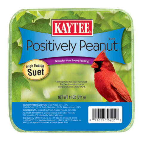 Kaytee, Kaytee Positively Peanut High Energy Mini Suet, 1 Each/11 Oz