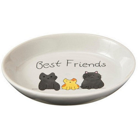 Spot, Spot Best Friends Oval Cat Dish, 1 Each/6 in