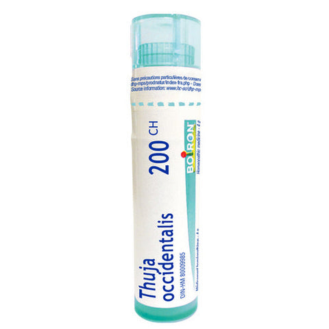 Boiron, Thuja Occidentalis 200 Ch, 80 Count