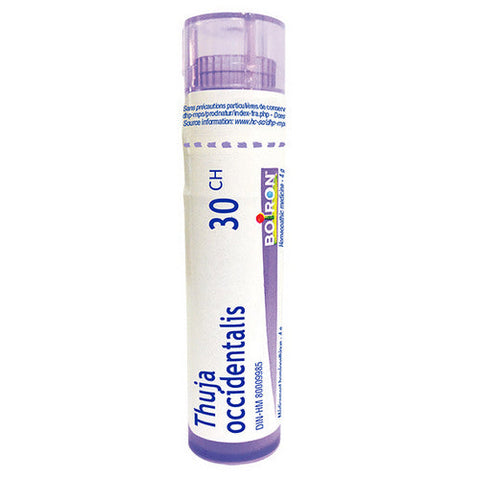 Boiron, Thuja Occidentalis 30 ch, 80 Pellets