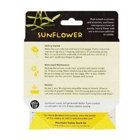 Handy Pantry, Sunflower Microgreen Kit, 1 Count