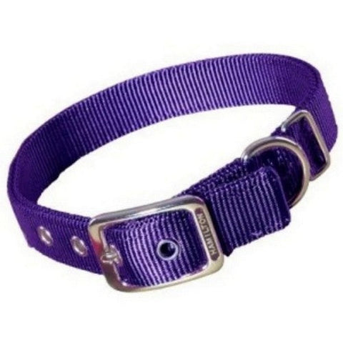 Collar Double Thick 1" 18" Purple 1 Each by Hamilton