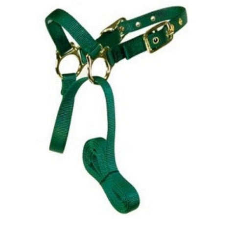 Hamilton, Halter Livest Sheep With Lead Green, 1 Each