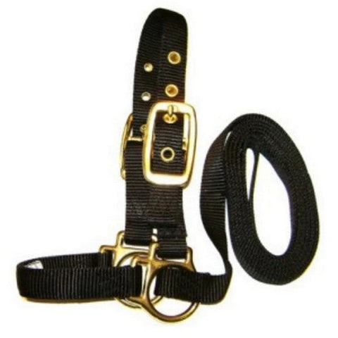 Hamilton, Halter Livest Sheep With Lead Black, 1 Each