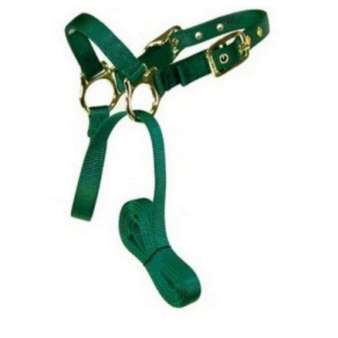 Hamilton, Halter Livest Sheep With Lead Dark Green, 1 Each