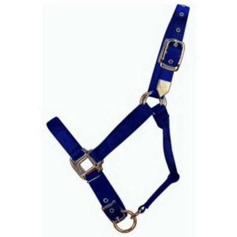 Hamilton, Halter Horse Adjustable 1-2 Foal Navy, 1 Each