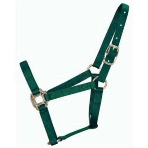 Hamilton, Halter Horse Adjustable 1-2 Foal Dark Green 3D, 1 Each
