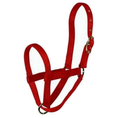 Hamilton, Halter Livest Turn Out Calf Red, 1 Each