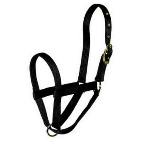 Hamilton, Halter Livest Turn Out Calf Black, 1 Each