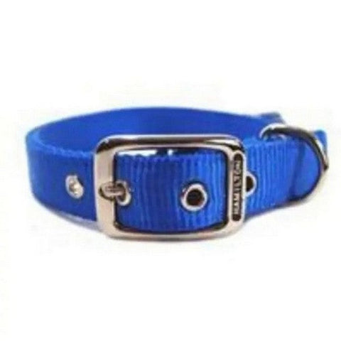 Collar Single Thick 5/8" 12" Blue 2 Count by Hamilton