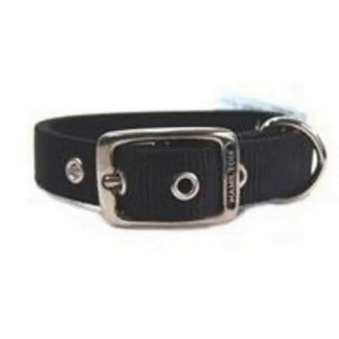 Collar Single Thick 5/8" 12" Black 2 Count by Hamilton