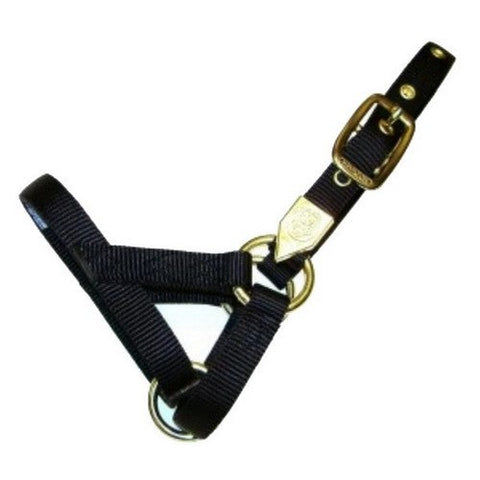 Hamilton, Halter Livest Llama A-Adult Black, 1 Each
