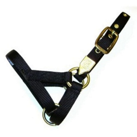 Hamilton, Halter Livest Llama Lg-Adult Black Lh, 1 Each