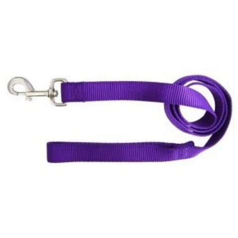 Leash Single Thick 1" 6Ft Purple 1 Each by Hamilton