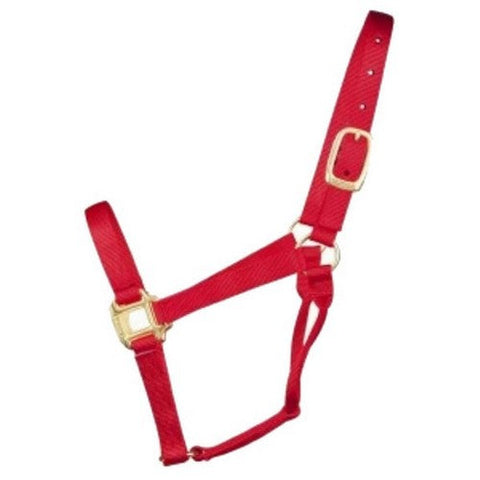 Hamilton, Halter Horse Adjustable Mini Average Red 3Dam Avrd, 1 Each
