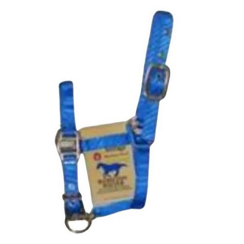 Hamilton, Halter Horse Adjustable Mini Average Blue, 1 Each