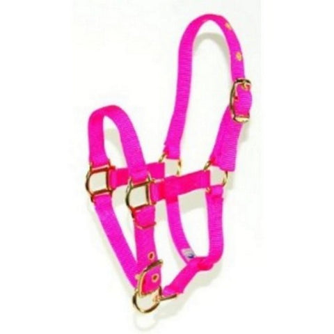 Hamilton, Halter Horse Adjustable Mini Average Hot Pink 3D, 1 Each