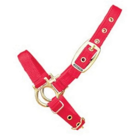 Halter Livest Sheep Adjustable 3/4" Red 1 Each by Hamilton