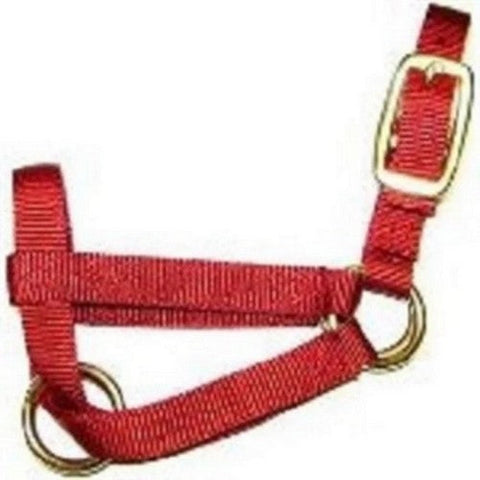 Halter Livest Goat 3/4" Nanny Red 1 Each by Hamilton