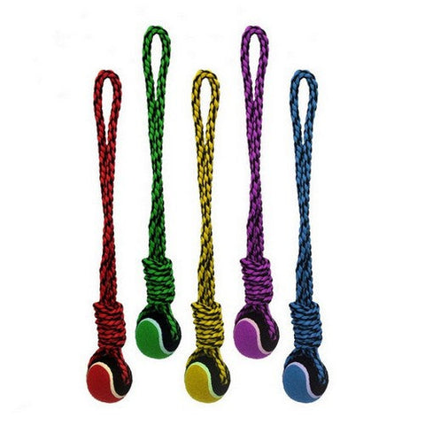 Multipet, Nuts For Knots 20 Inches Rope Tug Dog Toy With Tennis Ball, 1 Each, 20 Inches,Assorted (Large)