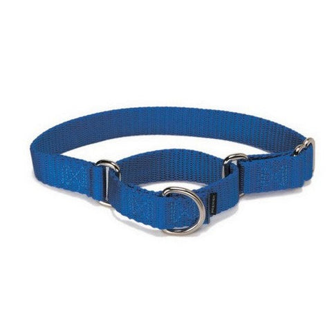 PetSafe, PetSafe Nylon Dog Collar, Royal Blue,  1In X 14-20 Inches, Large