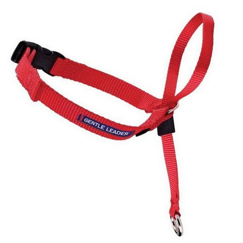 PetSafe, PetSafe Headcollar No-Pull Dog Collar, Red,  Medium