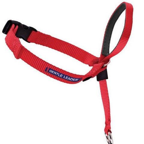 PetSafe, PetSafe Headcollar No-Pull Dog Collar, Red,  1 Each / Small