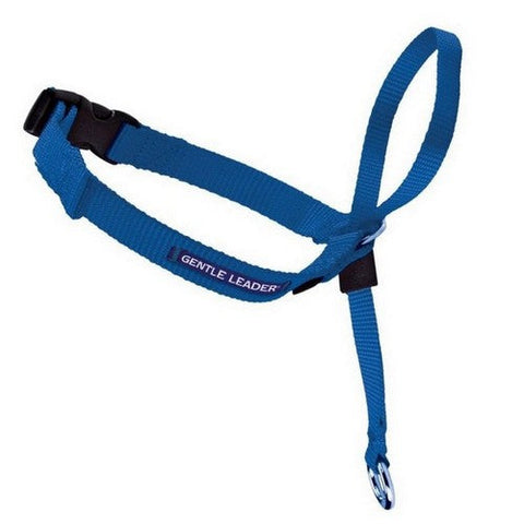 PetSafe, PetSafe Headcollar No-Pull Dog Collar, Royal Blue,  Medium