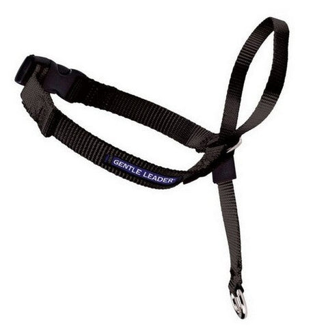 PetSafe, PetSafe Headcollar No-Pull Dog Collar, Black,  Petite